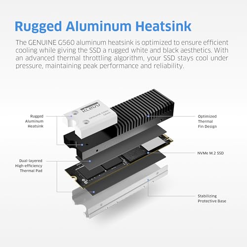 Image of KLEVV Genuine G560 1TB M.2 2280 NVMe PCIe Gen5x4 Internal SSD Heatsink Included, up to 13000MB /s with DRAM Cash (K01TBM2SP0-G56)