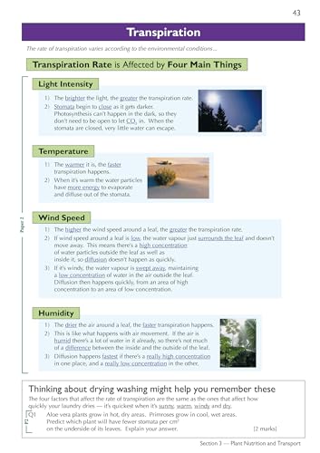 NEW GRADE 91 EDEXCEL INTE