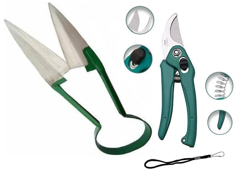 See full amazon price history chart for Aarav Heavy Duty Garden Tool Secateurs/Grass Cutter, Grass Shear with Assorted Hand Pruner Cutter | Garden Scissors - 1 Pc (Steel Blades) Gardening Cutter | Plant Cutter for Home Garden | Pack of 2 Aarav Heavy Duty Garden Tool Secateurs/Grass Cutter, Grass Shear with Assorted Hand Pruner Cutter | Garden Scissors - 1 Pc (Steel Blades) Gardening Cutter | Plant Cutter for Home Garden | Pack of 2 (B0D22JV6P7) Amazon Price History, Amazon Price Tracker