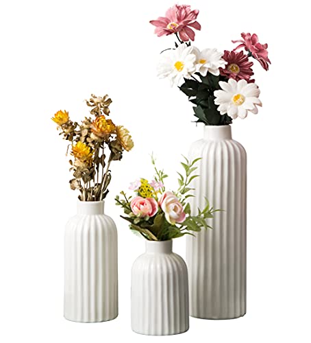 Vellarr Set of 3 White Ceramic Vase, Smooth Glaze Finish