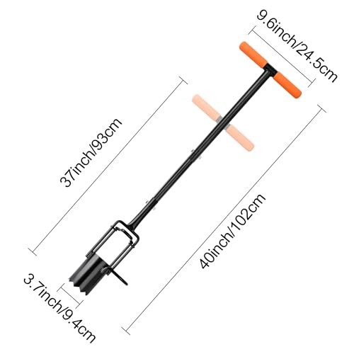 How to sow wildflower seeds How to sow wildflower seeds