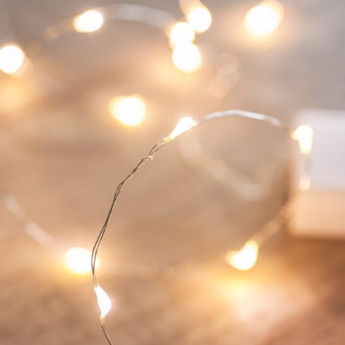Lights4fun Regular Glass Bell Jar with 20 Warm White Micro LED Fairy Lights