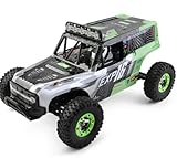 RC Toys Pleyer