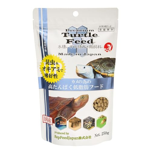 qei se ^[gtB[h QTO EJpt[h