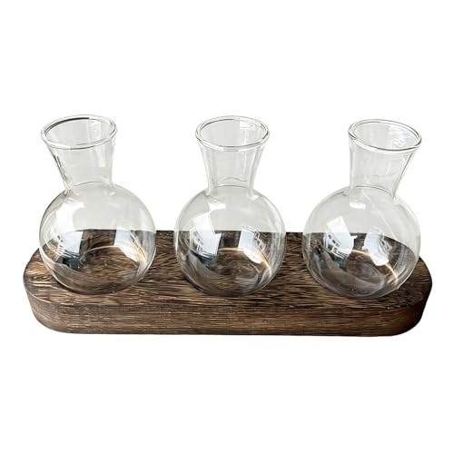 Macetero de 15 x 10 cm con marco de madera, soporte para plantas de interior, exhibición de raíces con diseño moderno, recipiente para S