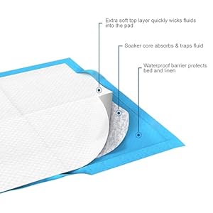 Inspire Bulk Savings Pack 300 ct. Disposable Chux Underpads, 23 x 36 Inches, Moderately Absorbent Puppy Pads Pee Pads for Dogs | Incontinence Bed Pads Disposable Adult Bed Protector Waterproof