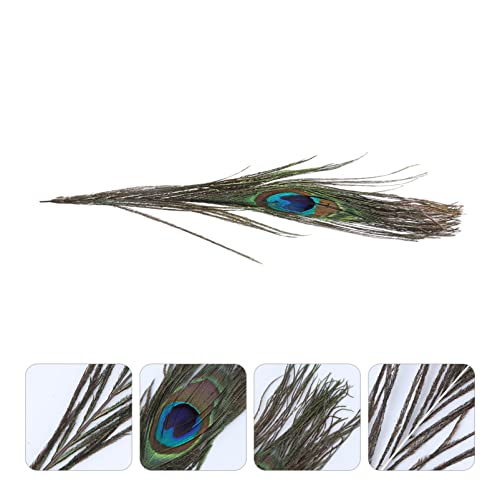 TinkSky 50pz 25-30cm Occhi Piume di Pavone