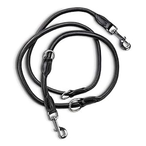 Premium lederen hondenriem Dexter 2,0m – hondenriem met messing karabijnhaak – echt lederen riem meervoudig verstelbaar (Zwart)