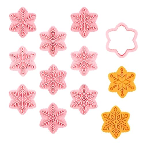 CONGGUAN 9Pcs Christmas Snowflake Cookie Cutter Set Plastic Press Cookie Cutters & Stamps for Baking DIY Holiday Biscuit Molds for Kitchen