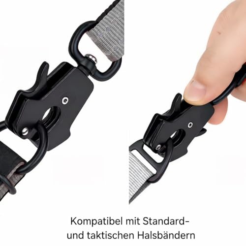 Lina Pet Hundeleine 3m x 2,5 cm, Reflektierend – Verstellbare Doppelleine aus Nylon mit Aluminium-Karabiner, Führleine für große und mittelgroße Hunde