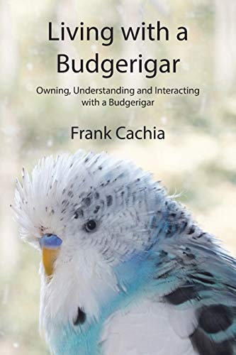 Living With A Budgerigar Owning Understanding And Interacting With
