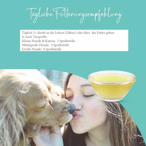 MEDIDOG Dental Fresh & Clean Dentalspray – Neue REZEPTUR - XL Packung 250ml – Zahnpflege für Hunde – Zahnsteinvorbeugung – frischer Atem