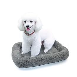 Enjoying Cat Mat Bed 16" x 22" Pet Bed with Pillow Around for Dogs Cats Curled Sleeping Beds for Carrier/Crate Small to Medium Dog Cushion, Anti Skid Bottom, Medium