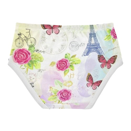 Girls Underwear Toddlers 2t Cotton Panties Little Girl Animal Kids Undies Briefs Vintage Eiffel Tower Rose2