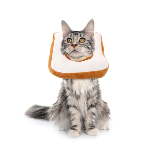 Collar de cono para gatos talla L ajustable y ligero 2