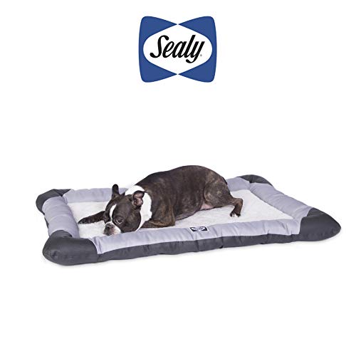 Sealy Dog Bed Sealy Quilted Memory Foam Heavy Duty Crate Pad Gray