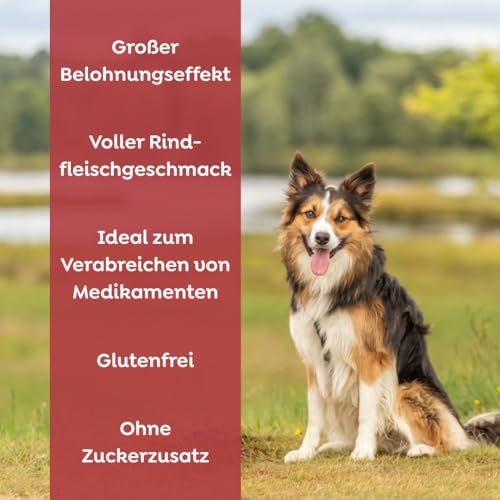 TRIXIE Rindfleischcreme – Hundecreme als Snack – großer Belohnungseffekt – ideal zur Medikamentengabe – glutenfrei – ohne Zuckerzusatz – 110 g – 31841