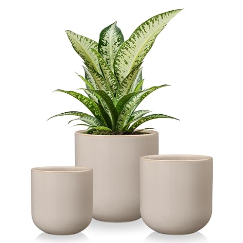 vancasso Ceramic Plant Pots, 4+5+6 inches, Set of 3, Planters with Drainage Hole, Flower Pots Planters Pots for Indoor Plants, Modern Indoor Decorative Garden Pot, Home Decor, Gray