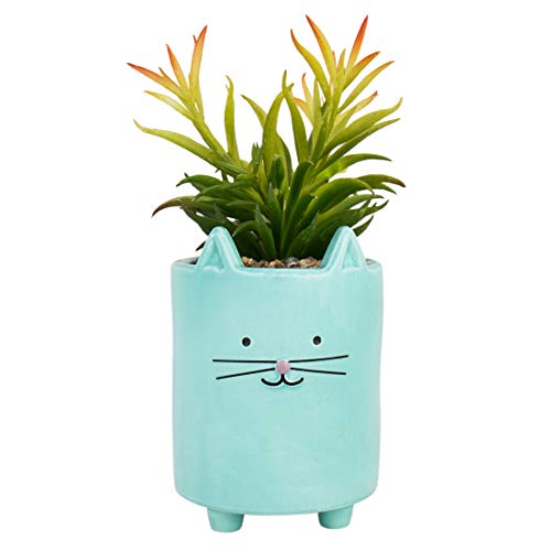 Chumbak Sneaky Kitty Planter -Plant Pots, Indoor & Outdoor Plants, Plant Stand,Decorative Home Décor, Pots for Succulents, Small Plants, House Plant, Modern Gardening, Ceramic Planter, 5.5