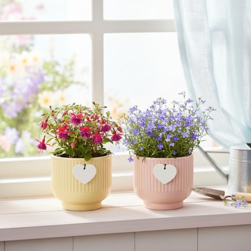 Image of Xtore Elegant Ribbed Ceramic Planter Set for Indoor Plants | Minimalist Decorative Flower Pots for Home, Office Desk & Shelf Styling (Pack of 2, Planters only)