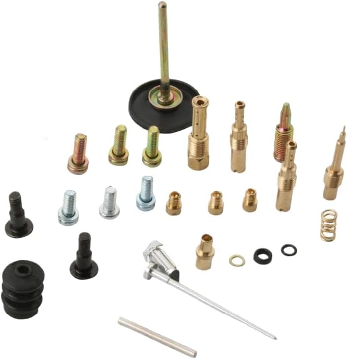 Carburetor Repair Kit Plunger Diaphragm CM146602 Compatible With FLY 100 Zip 100 Liberty 100cc 4T