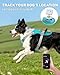 TagME No Pull Dog Harness with 2 Leash Clips,Lightweight & Visible for All-Day Walking,No Choke Pet Vest Includes AirTag Holder for Large Dogs,Teal