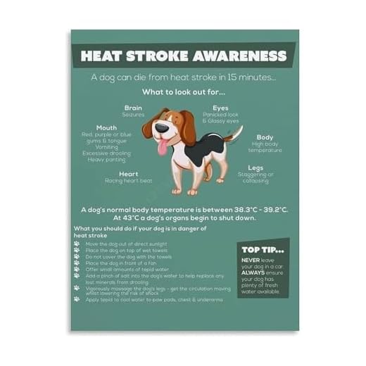 Dog First Aid Guide Educational Poster