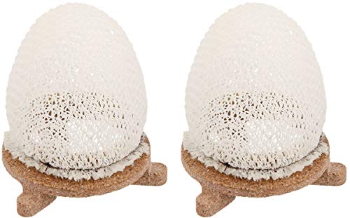 American Mantle Company Inc 7998680 Preformed Inverted Mantle 2/179B Ceramic Ring - for Outdoor Gaslights (?wo ?ack)