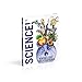 Knowledge Encyclopedia Science