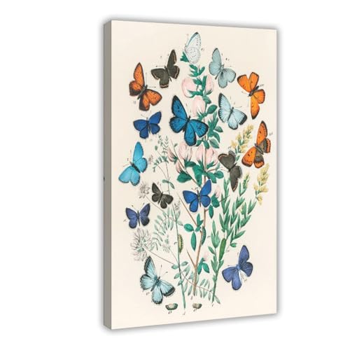 Cadre à suspendre papillon William Forsell Kirby déco murale vintage 20x30