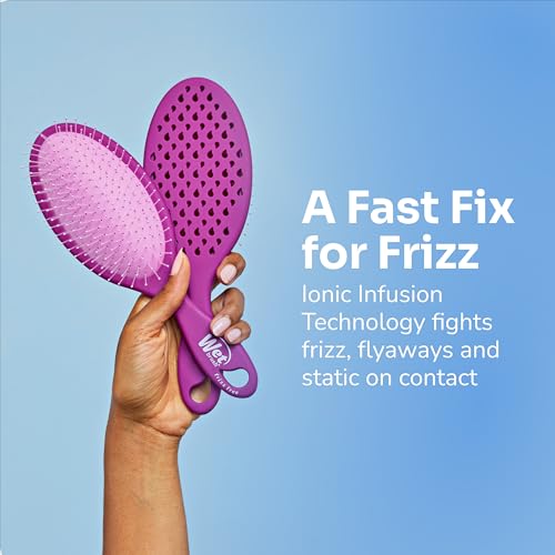 Image of Wet Brush Frizz-Free Detangler Brush with Ionic Technology, Purple, Provides Frizz Control, Reduces Static, and Smooths All Hair Types, Best For Dry Hair, Made for Women, Men & Kids