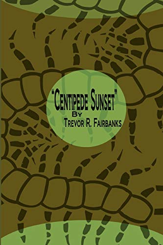 Centipede Sunset: a cyber-punk western