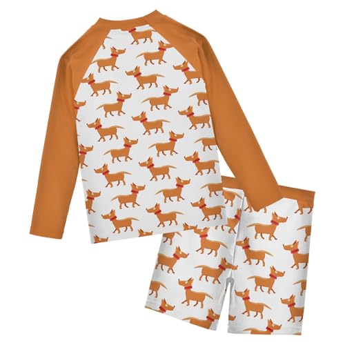Boys Rash Guard Set Funny Dog Piece UP50+ Swim Set for Boys 3T-10T2