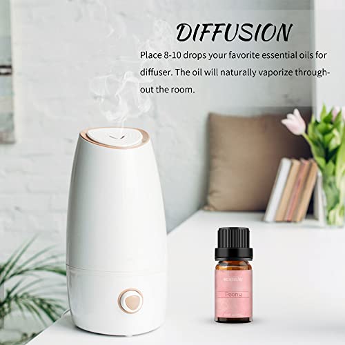 Image of BURIBURI Peony Essential Oil Mother's Day Gifts Set for Women, 100% Pure, Undiluted, Natural Aromatherapy Peony Oils Essential 10ml for Diffuser, Soap Making Candle Making, Massage