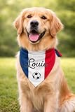 Bandana Chien Personnalisé avec Nom – Foulard pour Chien...