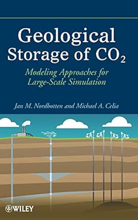 Geological Storage of CO2: Modeling Approaches for Large-Scale Simulation  book cover