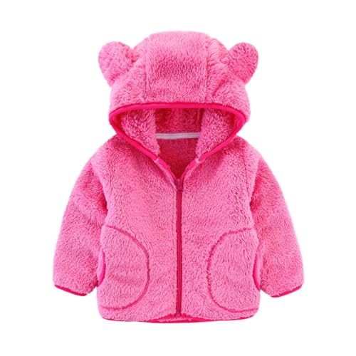Winter Coats Puffer Padded Jacket for Toddler Boys Girls Kids Light Outwear Bear Ears with Hoods2