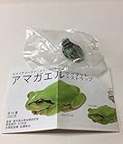 ネイチャーテクニカラーMONO アマガエル マグネット×ストラップ ［6.ストラップ:緑灰地に黒色］(単品)