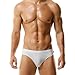 TADUANO Men's Underwear Hipster Brief Low Rise Fashion Sport Stretchy Thin Breathable Sexy White