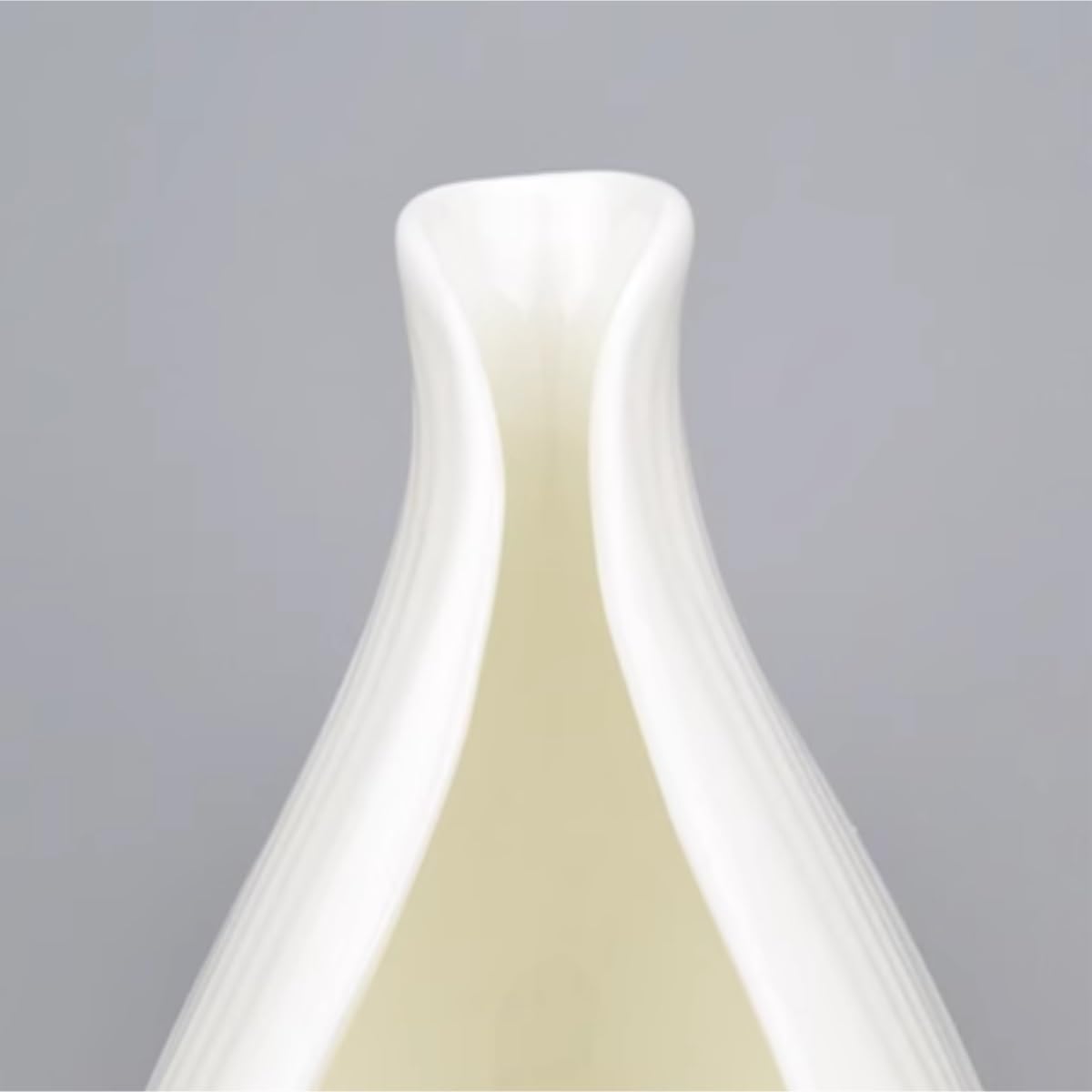 Salsiera Perfetta per Salse Salsiera in Ceramica, for Bistecche, Pentola for Cucinare, for Condire Ristoranti E Feste