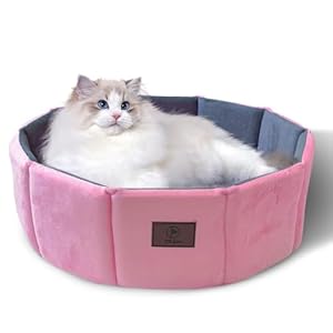 Cat Bed Kitten Bed, Washable Round Cat Beds for Indoor Cats, Super Soft Faux Rabbit Fur Small Kitten Bed for Puppy and kitten, Fluffy Inner Mat Filling Memory Foam with Anti-Slip Bottom (Pink)