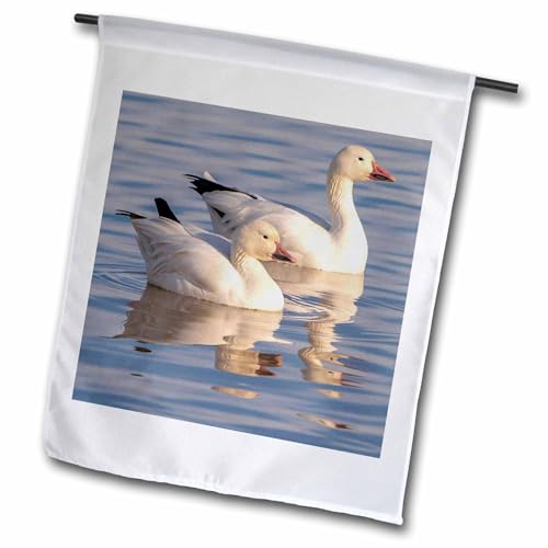 12 x 18 inch Garden Flag - USA, New Mexico,Wildlife