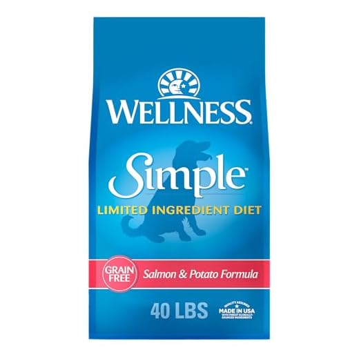 Wellness Simple Limited Ingredient Dry Dog Food for Sensitive Stomachs, Supports Skin & Coat, Grain Free, Natural, Salmon & Potato Recipe, (40-Pound Bag)