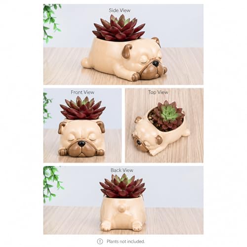 Image of Cute Sleeping Puppy Succulent Planter Pot | Dog Resin Flower Pot, Small Indoor Plant Holder for Succulents, Cactus & Herbs, Decorative Animal Planter