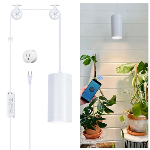 HMVPL Hanging Grow Light, Plant Lights Full Spectrum with 4000K 40W COB Bulb, Pulleys and Smart...