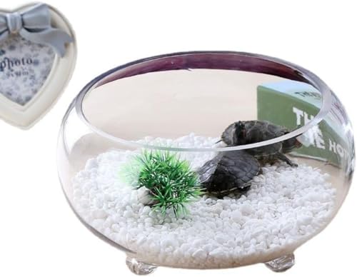 uuClub金魚鉢 丸 テラリウム透明なの 金魚、メダカ、ベタのスリーキャッチ肥厚円形透明金魚リビングルーム小型家庭用デスクトップ亀水耕栽培金魚鉢 円柱 (25CM)