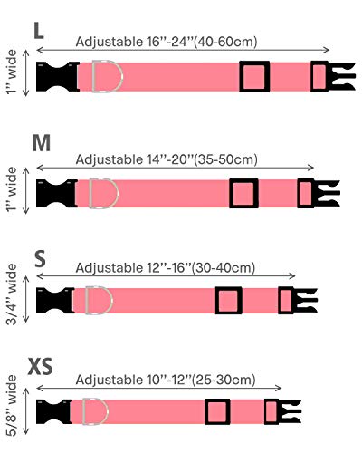 TagME Hundehalsband personalisiert, Reflektierendes gepolstertes Nylon Hundehalsband für kleine Hunde mit Namen und Telefonnummer