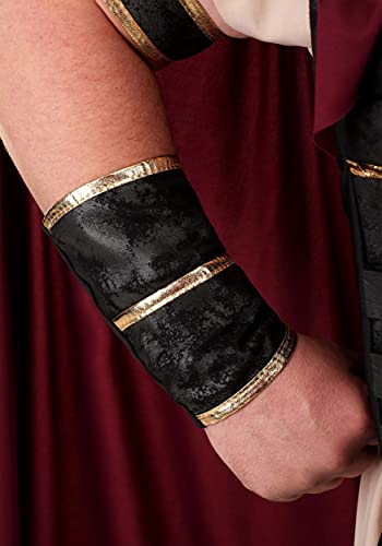 California Collection Roman Gladiator Warrior Costume Plus Multi #TOP6