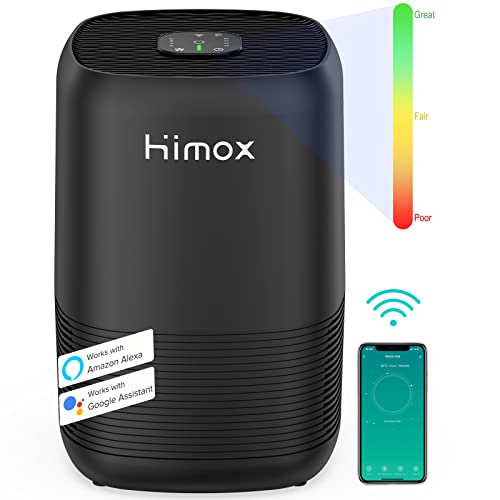 Conquer Allergic Rhinitis Best Air Purifiers to the Rescue in 2024