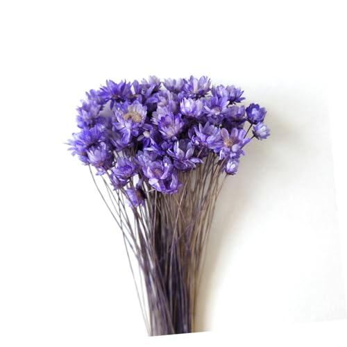 Daisy seca decoración 30 piezas para arreglo DIY miniatura 2